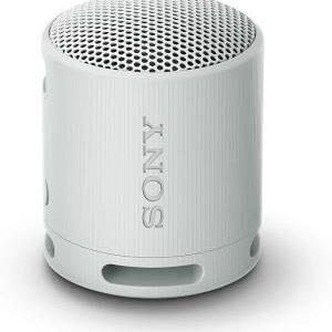 Sony SRS-XB100 Speaker Wireless Bluetooth Grigio